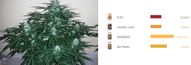 1598455907081.png 1598455907081.png