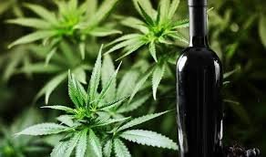 wine 2.jpg
