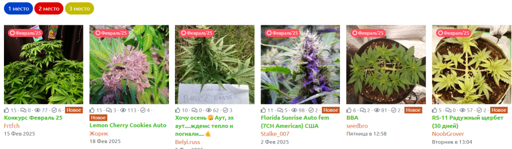 1740676304845.png 1740676304845.png