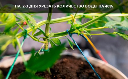 posle-trenirovok__LhpD582M3SOJVfiO.jpg
