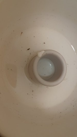 P_20250728_233050.jpg