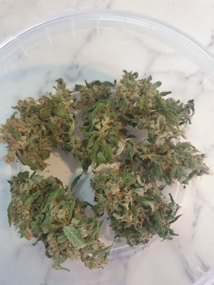 20250725_152542.jpg 20250725_152542.jpg