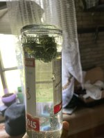 IMG_0218.jpeg IMG_0218.jpeg