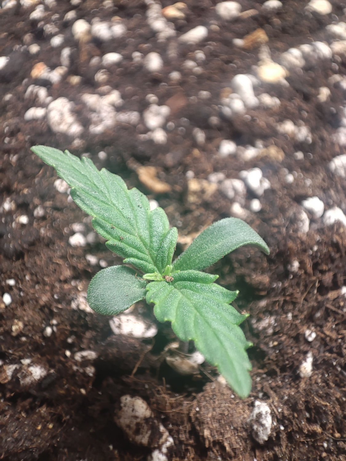 IMG_20220424_160101-min.jpg IMG_20220424_160101-min.jpg