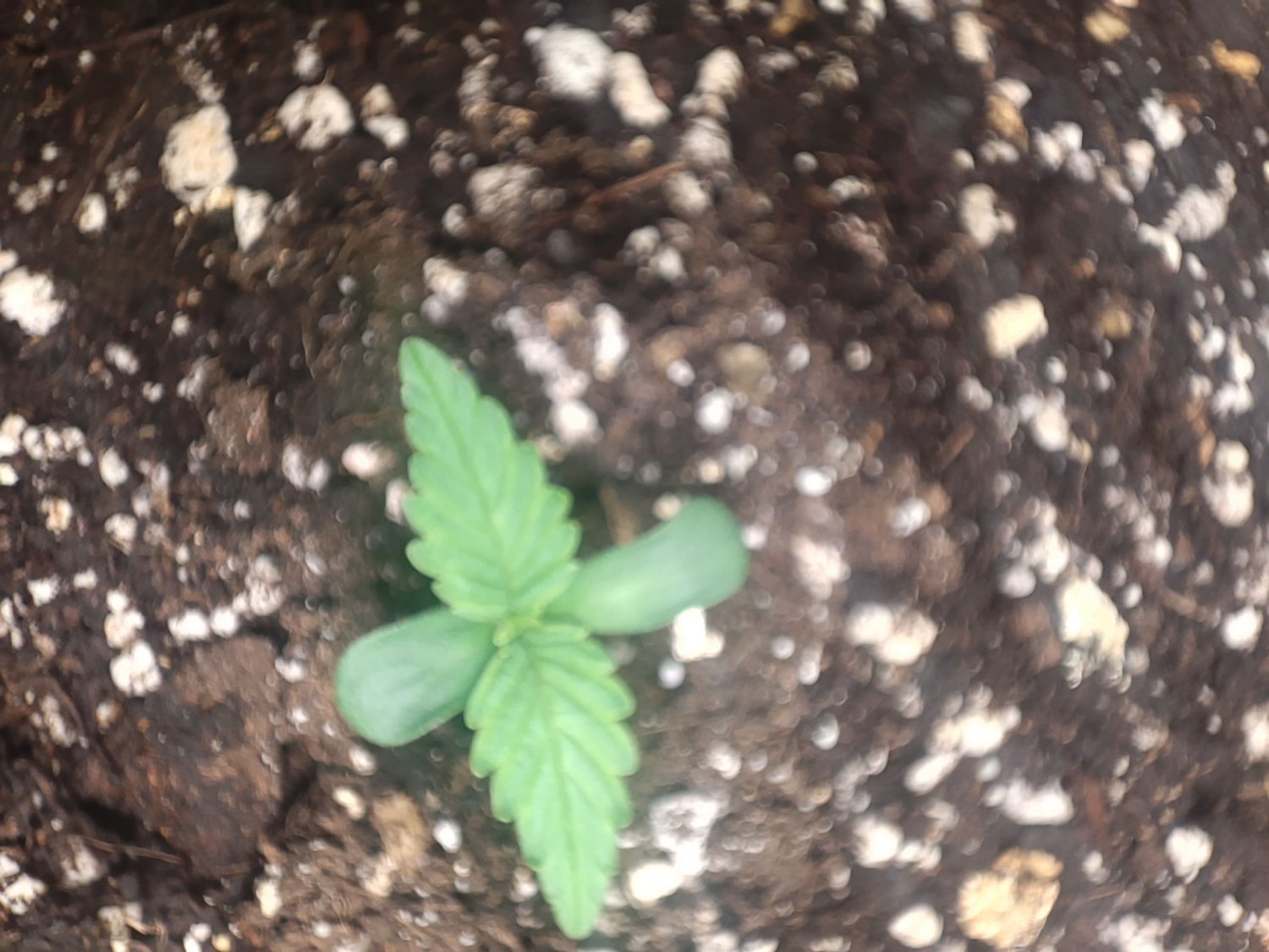 IMG_20220424_160119-min.jpg IMG_20220424_160119-min.jpg