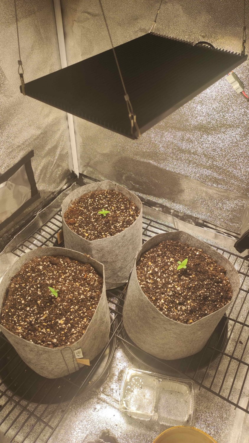 IMG_20220424_160621-min.jpg IMG_20220424_160621-min.jpg