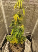 photo_2025-08-19_21-17-04 (2).jpg