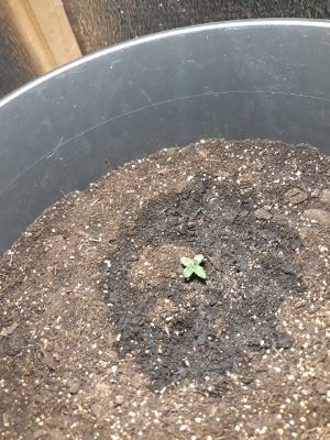 1652012329658.png 1652012329658.png