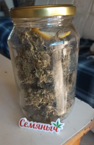 IMG_20220516_153219.jpg IMG_20220516_153219.jpg