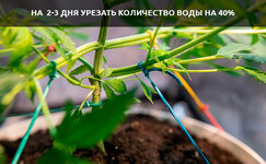 posle-trenirovok__LhpD582M3SOJVfiO.jpg posle-trenirovok__LhpD582M3SOJVfiO.jpg