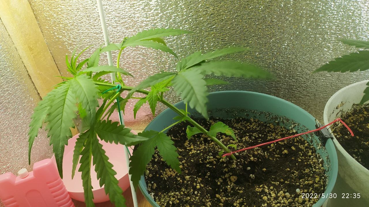 photo_2022-05-31_10-36-54 (3).jpg