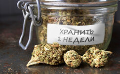 pochemu-socvetiya-prinyato-prolechivat-imenno-2-nedeli__Lwij2ffN2ijqkByj.jpg