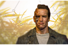 1770920197452.png