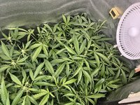 2 — копия.jpg