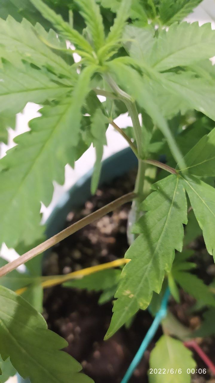 photo_2022-06-06_00-12-59 (2).jpg