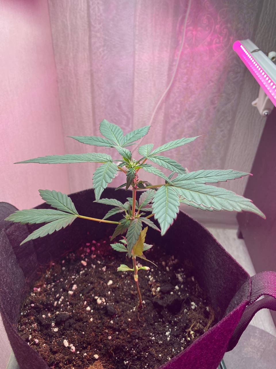 photo_2022-06-08_14-49-54.jpg photo_2022-06-08_14-49-54.jpg