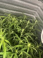 5 — копия.jpg