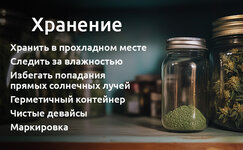 kak-hranit-sobrannyj-kif__WSuivpcNa11KhwzX.jpg