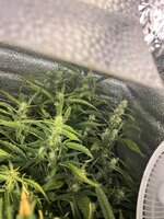 8 — копия.jpg