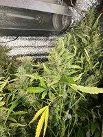 3 — копия.JPG