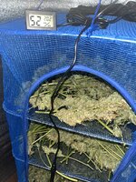 2 — копия.JPG