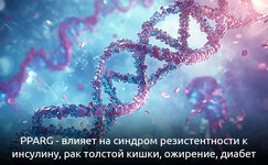 pparg-metabolicheskoe-chudo__UHX8m2ZKH8DsZTp2.jpg