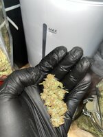 3 — копия.JPG