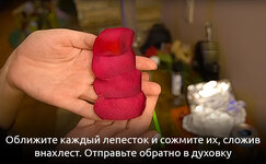 shag-3__japMcXYYd4UfMWTN.jpg