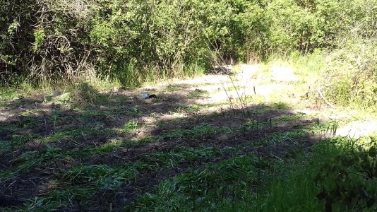 20160415_041132.jpg 20160415_041132.jpg