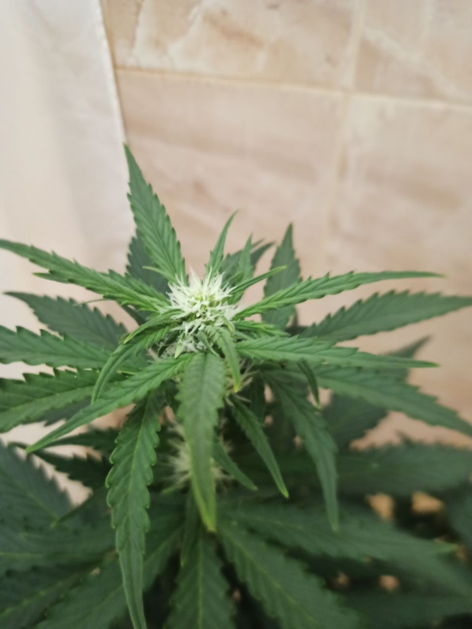 photo_2022-06-17_14-43-41.jpg photo_2022-06-17_14-43-41.jpg