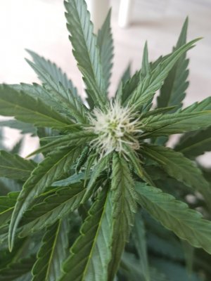 photo_2022-06-17_14-44-02.jpg photo_2022-06-17_14-44-02.jpg