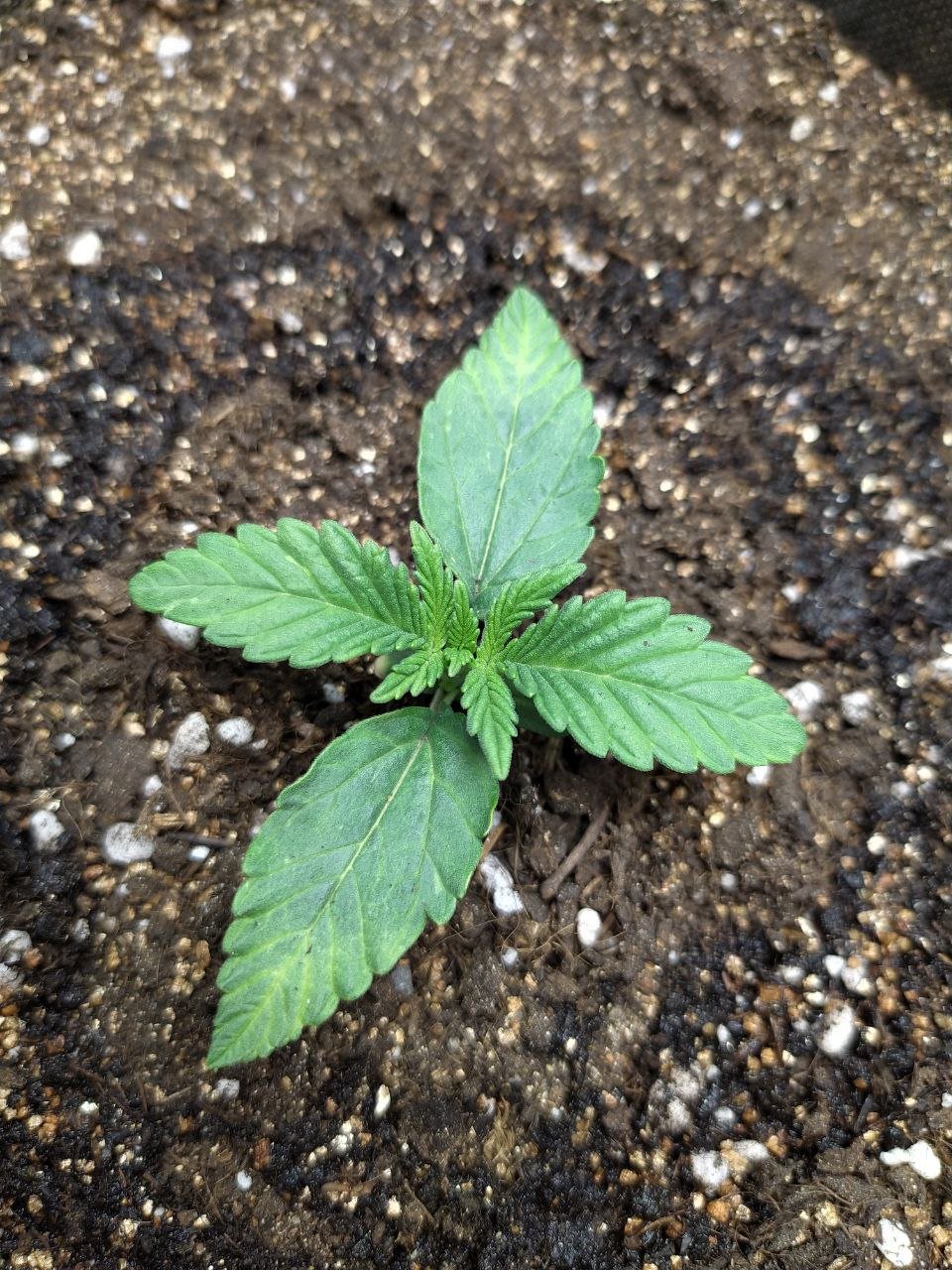 23 — копия.jpg 23 — копия.jpg