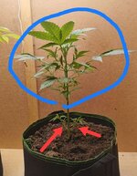 1790519723682.jpg