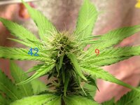 1000134643.jpg