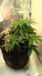 1000134876.jpg