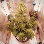 IMG_20261009_085012_777@-1379194964.JPG