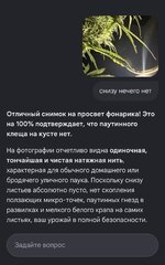 IMG_3324.jpeg
