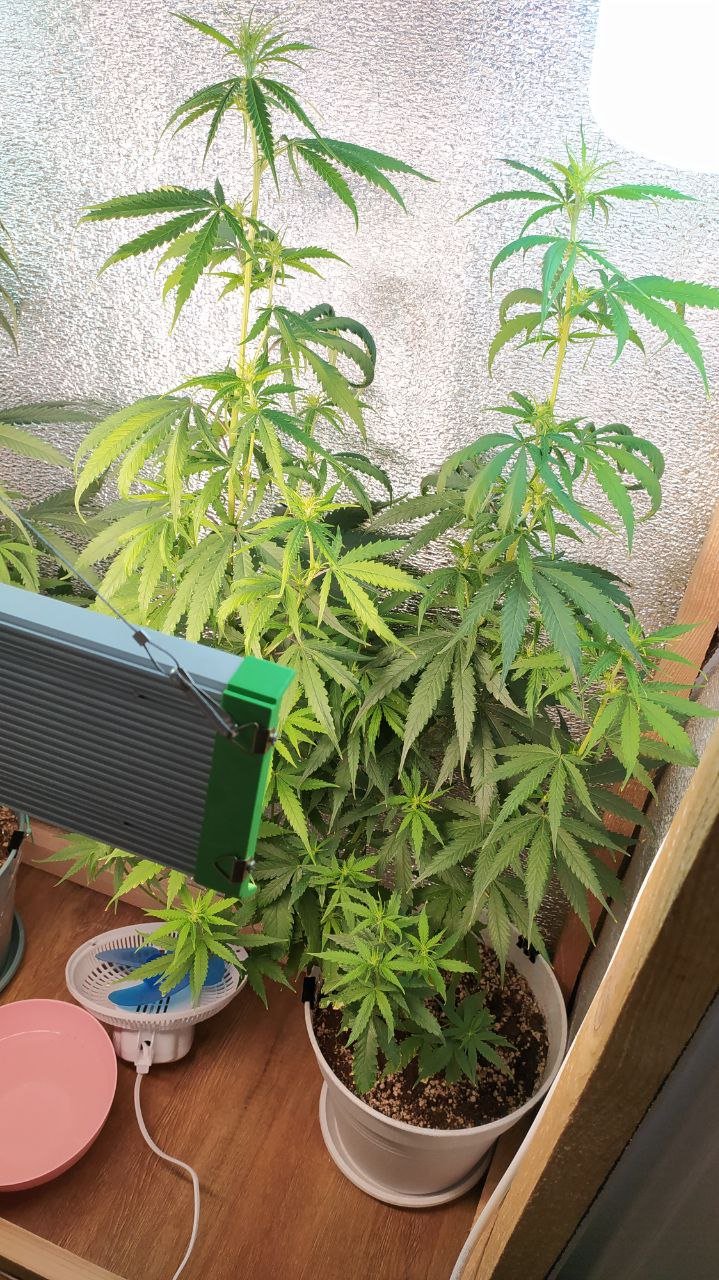 photo_2022-07-08_12-44-26 (3).jpg