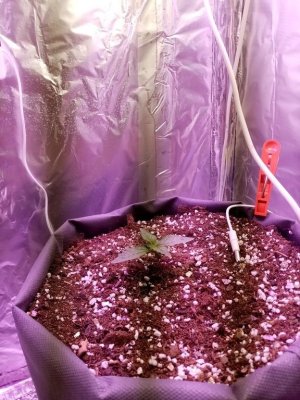 imgonline-com-ua-Resize-76kSBLXLNpdtVOW.jpg imgonline-com-ua-Resize-76kSBLXLNpdtVOW.jpg