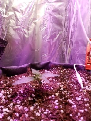 imgonline-com-ua-Resize-NGTtJLSugIdq.jpg imgonline-com-ua-Resize-NGTtJLSugIdq.jpg