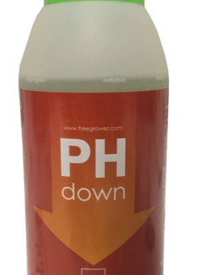 загруженное (1).png