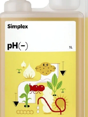 загруженное (5).png