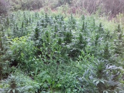 20160522_081330.jpg 20160522_081330.jpg