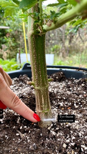 1717E4D6-F146-4FFB-8E5A-9A3AE11730ED.jpeg 1717E4D6-F146-4FFB-8E5A-9A3AE11730ED.jpeg