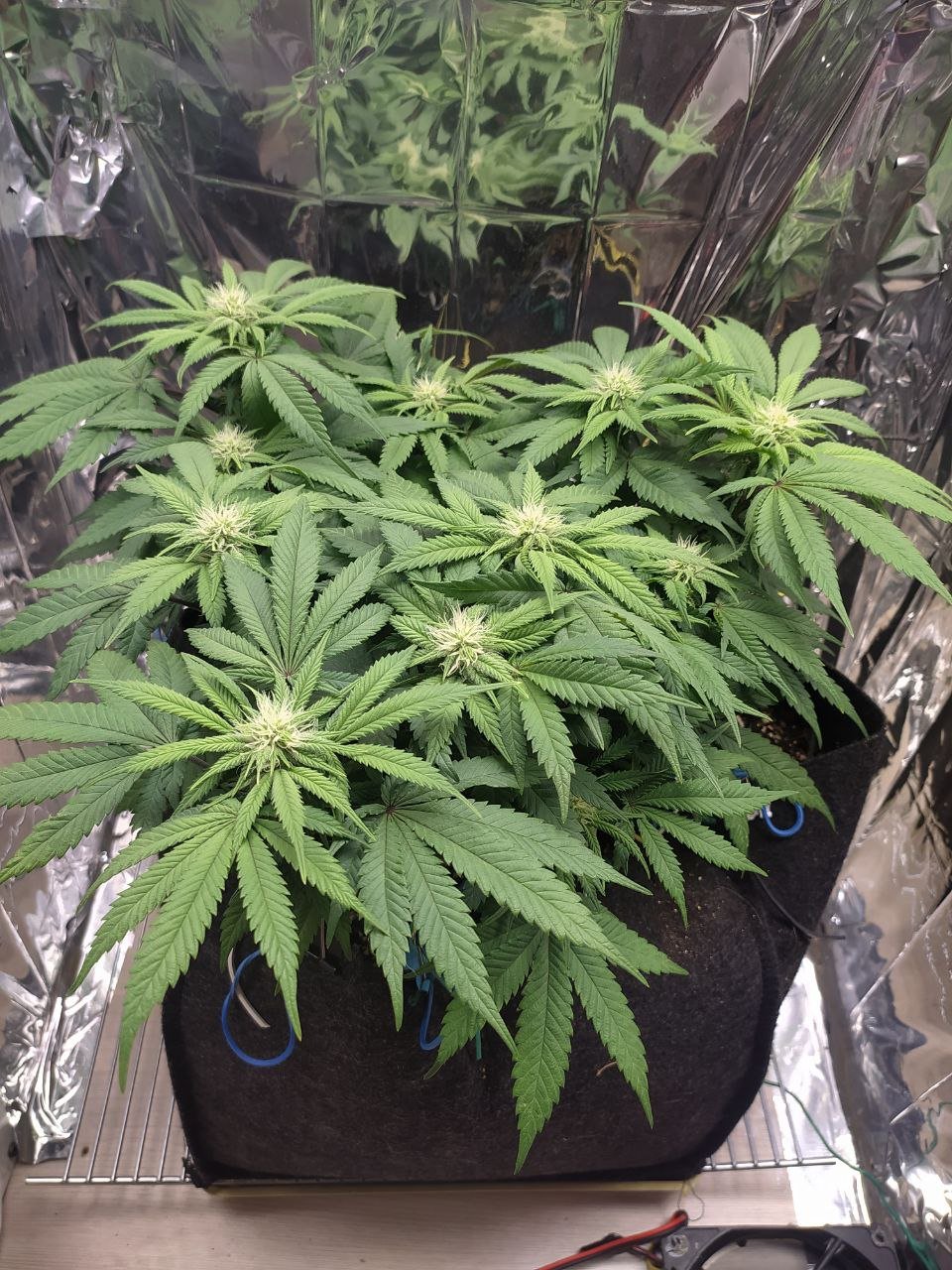 24 — копия.jpg