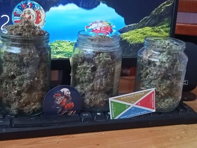 IMG20221116133248.jpg IMG20221116133248.jpg