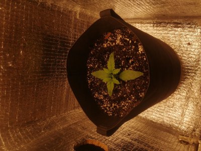 IMG_2022_12_19_21_29_31_1829210287496658743260.jpg IMG_2022_12_19_21_29_31_1829210287496658743260.jpg