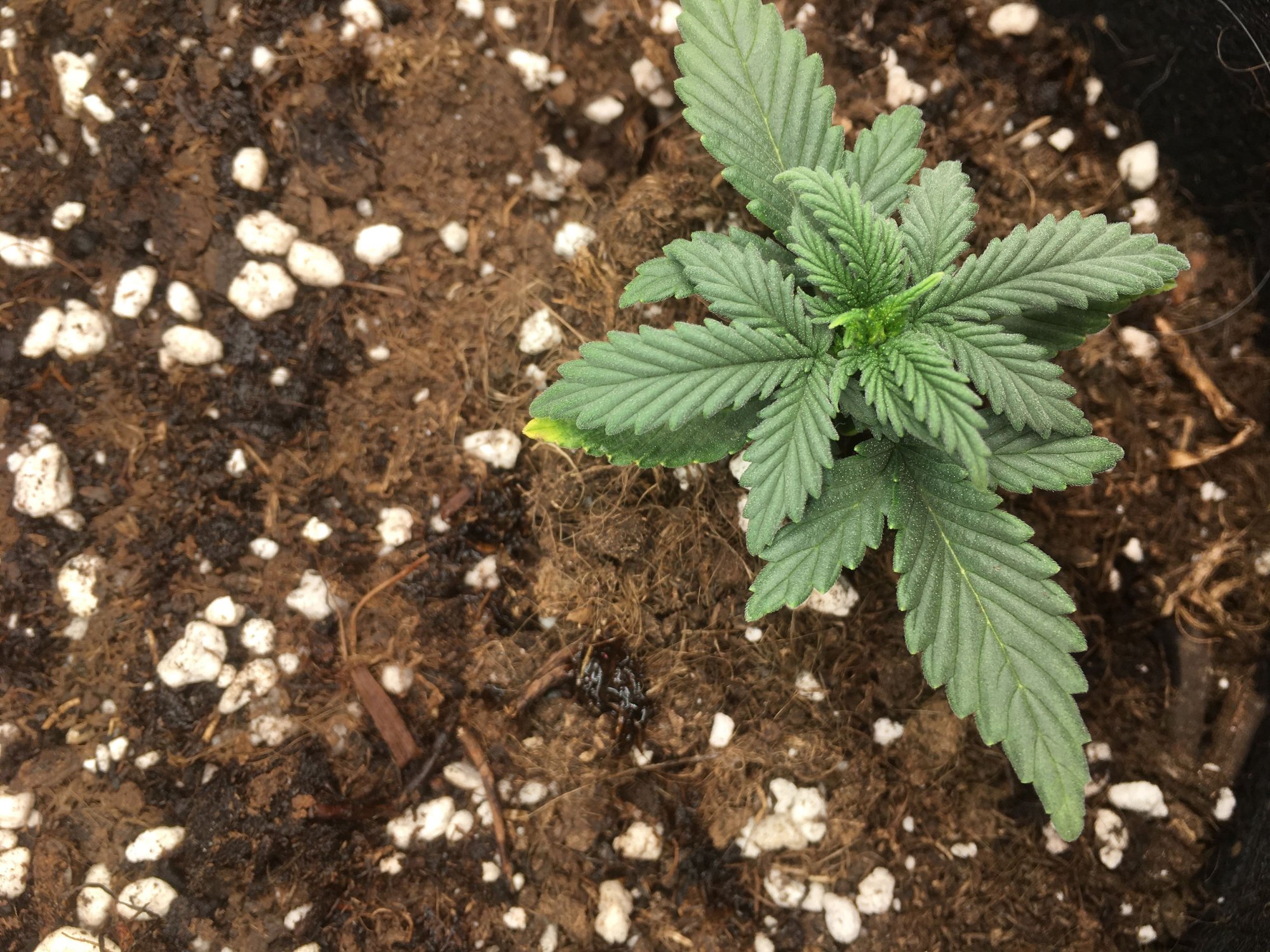 imgonline-com-ua-dexifzQrAGLXj5zCF.jpg imgonline-com-ua-dexifzQrAGLXj5zCF.jpg