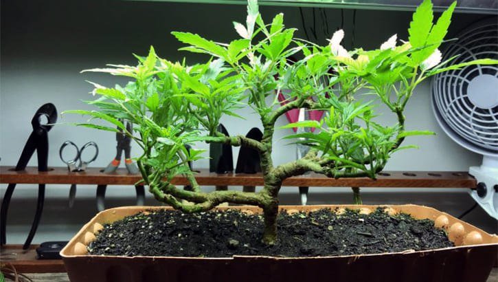 photo_2023-01-23_15-07-47.jpg photo_2023-01-23_15-07-47.jpg