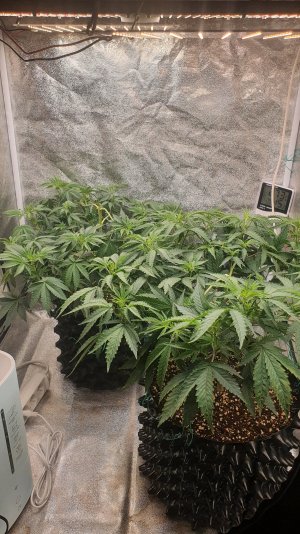 20221011_224008.jpg 20221011_224008.jpg